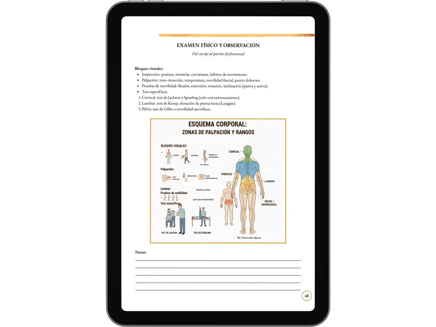 “El Arte de Alinear: Curso Básico de Quiropraxia y Osteopatía – Método Nomade Spine”