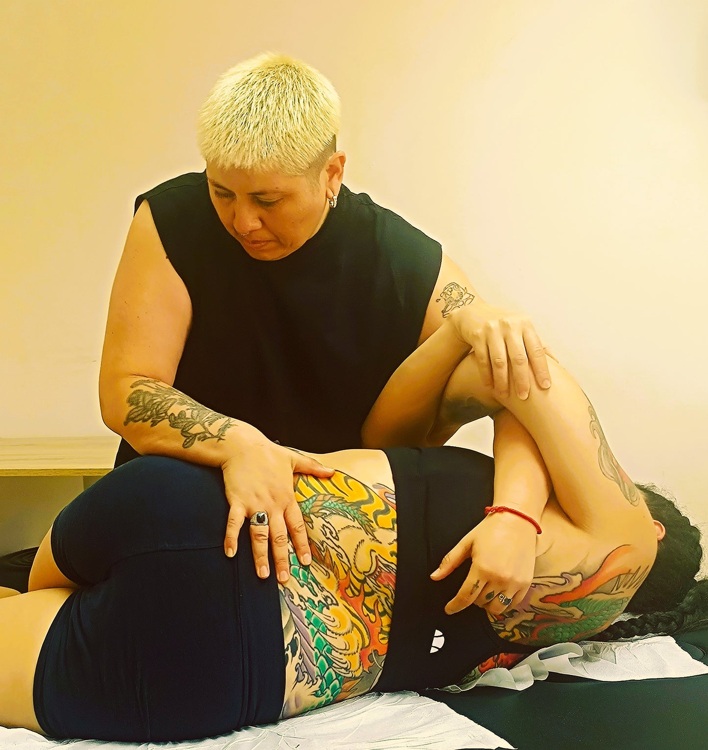 “El Arte de Alinear: Curso Básico de Quiropraxia y Osteopatía – Método Nomade Spine”